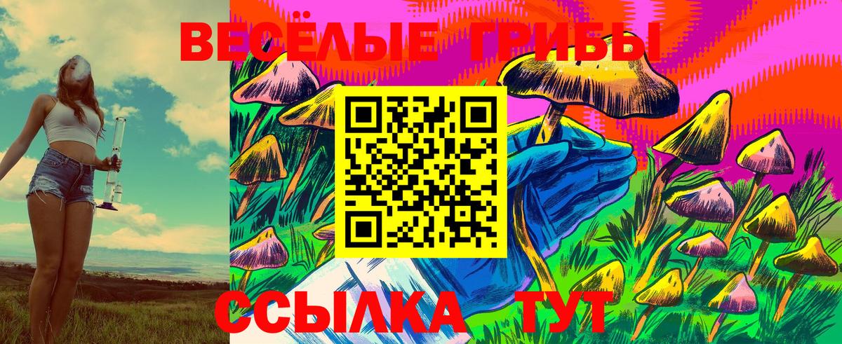 Ковров  Галлюциногенные грибы MAGIC MUSHROOMS  Вход с VPN 